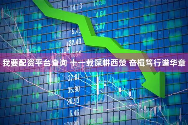 我要配资平台查询 十一载深耕西楚 奋楫笃行谱华章