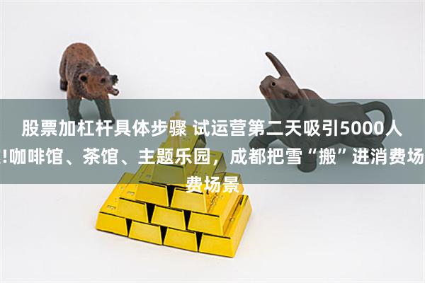 股票加杠杆具体步骤 试运营第二天吸引5000人次!咖啡馆、茶馆、主题乐园，成都把雪“搬”进消费场景