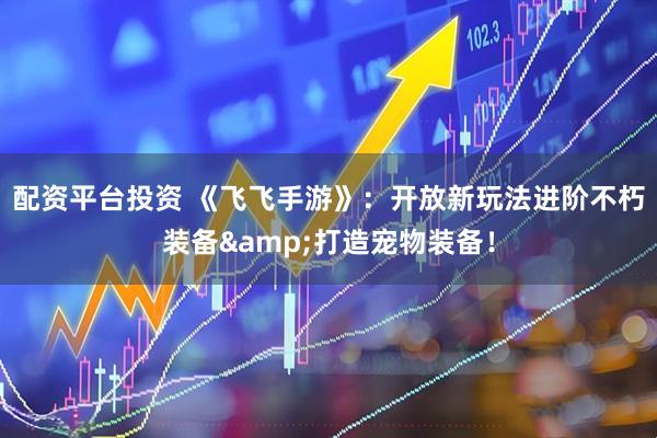 配资平台投资 《飞飞手游》：开放新玩法进阶不朽装备&打造宠物装备！