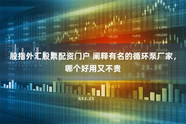 股指外汇股票配资门户 阐释有名的循环泵厂家，哪个好用又不贵