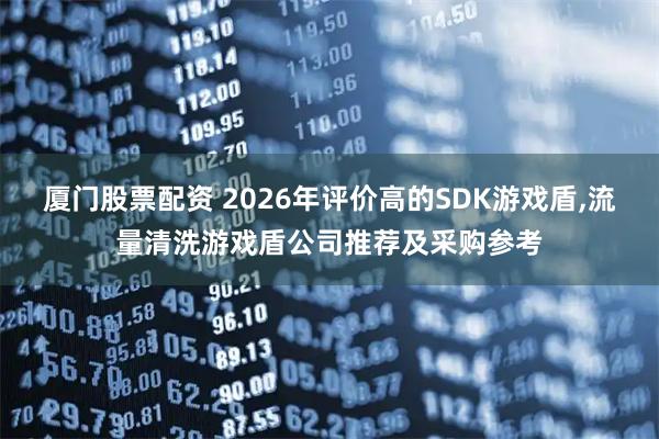 厦门股票配资 2026年评价高的SDK游戏盾,流量清洗游戏盾公司推荐及采购参考
